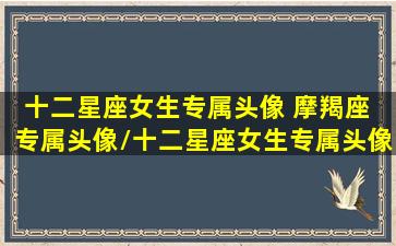 十二星座女生专属头像 摩羯座 专属头像/十二星座女生专属头像 摩羯座 专属头像-我的网站